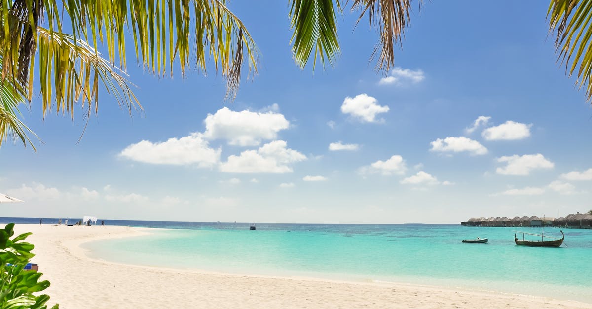 Serene beach with turquoise waters, white sand, and palm trees under a sunny sky, perfect for relaxation.